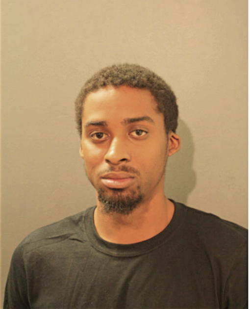 MICHAEL L BURKS, Cook County, Illinois