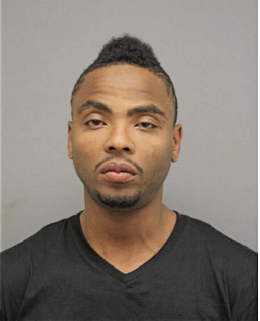 CHAVELLE J DAVIS, Cook County, Illinois