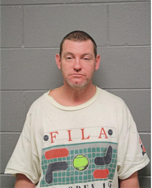 MICHAEL L DAVIS, Cook County, Illinois