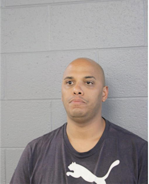 JOEL ESTRADA, Cook County, Illinois