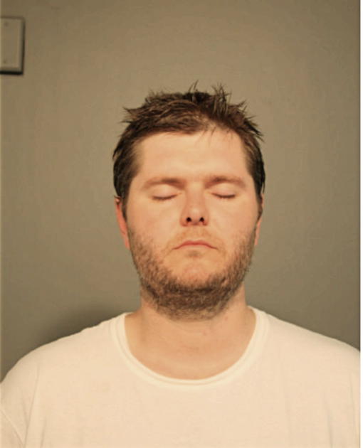 JUSTIN M FELESENA, Cook County, Illinois