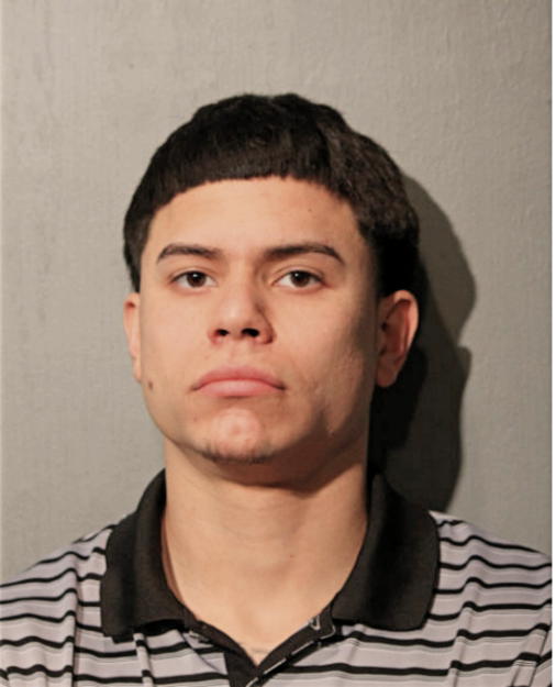 DAMENICK J GARCIA, Cook County, Illinois