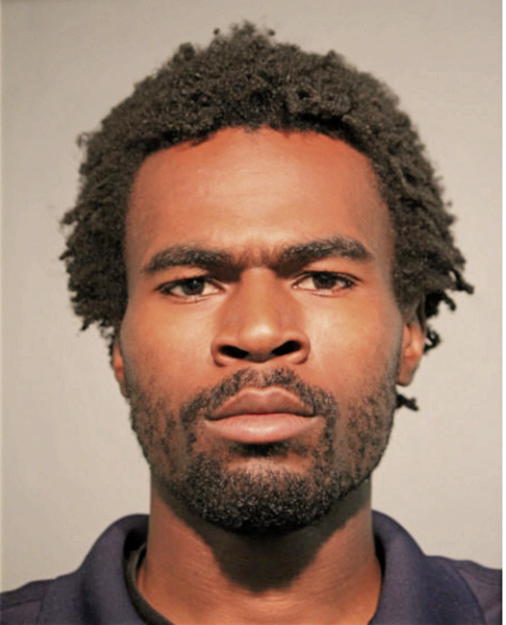 CHRISTOPHER H GRADY, Cook County, Illinois