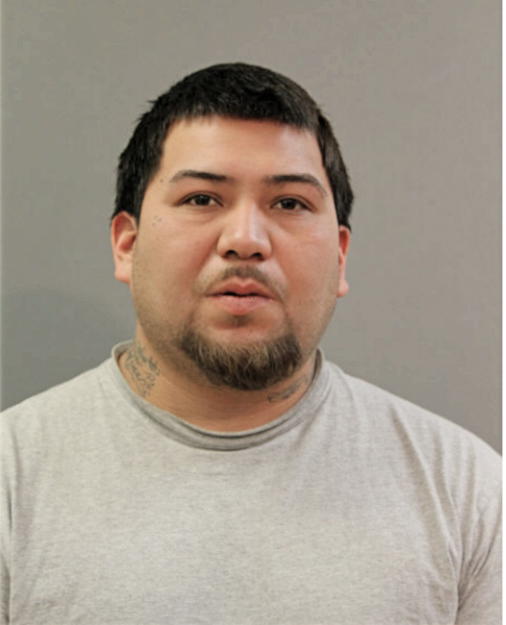 ERASTO HERNANDEZ, Cook County, Illinois