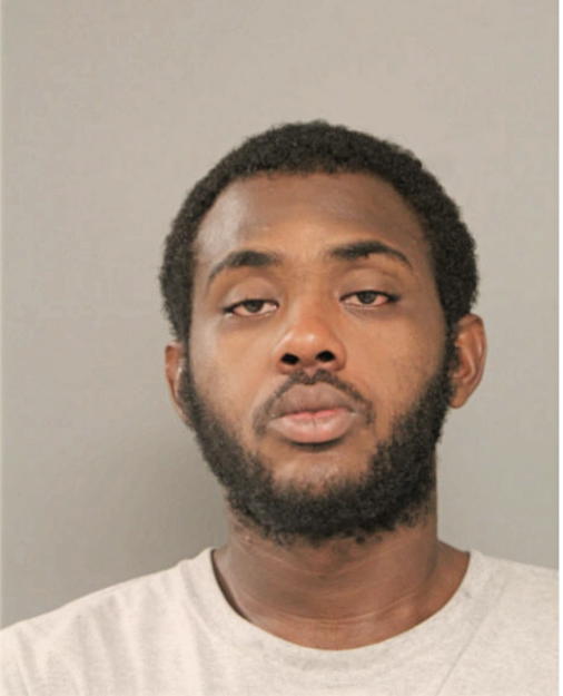 DENZEL L JOHNSON, Cook County, Illinois