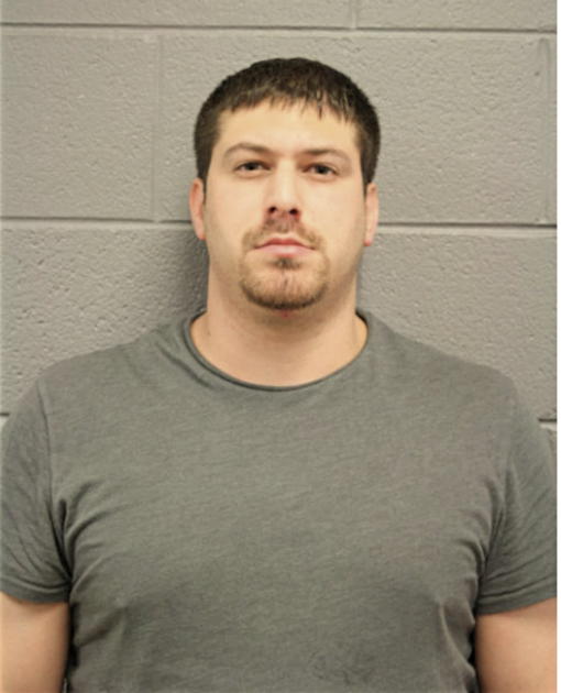 BRIAN M KRASNER, Cook County, Illinois