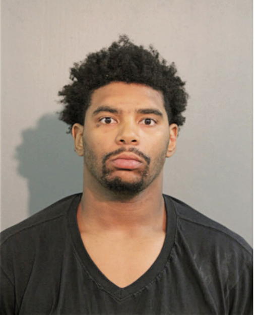 CHRISTIAN T LANDON, Cook County, Illinois