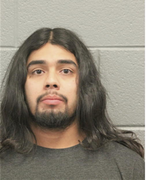 RENE M MENDOZA, Cook County, Illinois