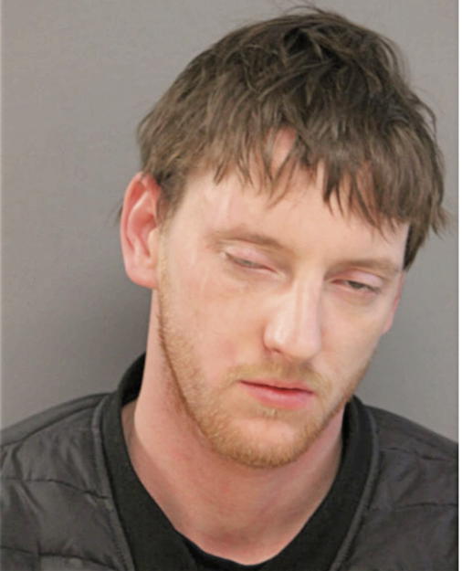 MATTHEW S PETROVICH, Cook County, Illinois