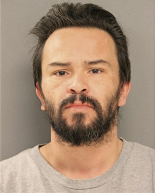 FABIAN C REYNA, Cook County, Illinois