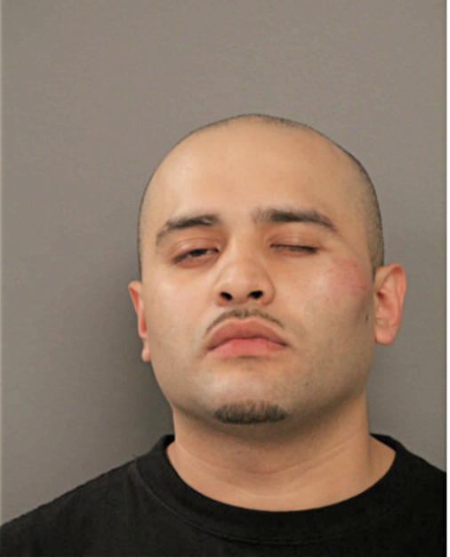 LUIS J VEGA, Cook County, Illinois