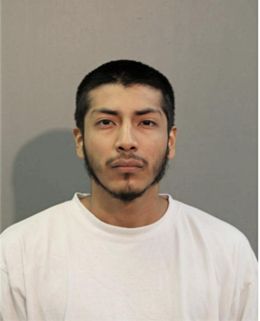 CESAR VILLALOBOS-ALEMAN, Cook County, Illinois