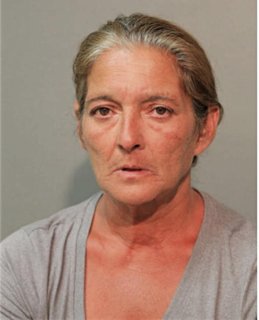 DEBRA ZIKO, Cook County, Illinois