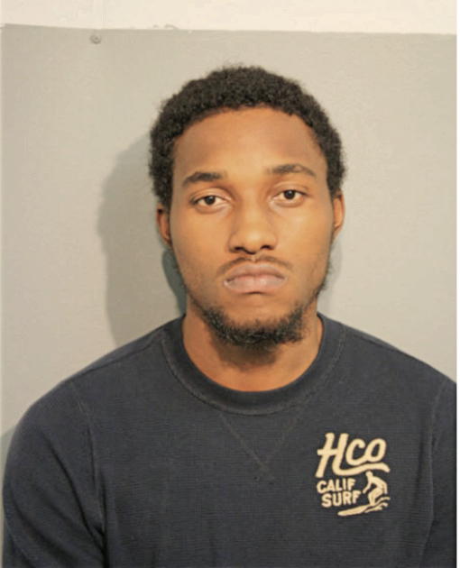RAPHAEL D ALTMAN, Cook County, Illinois