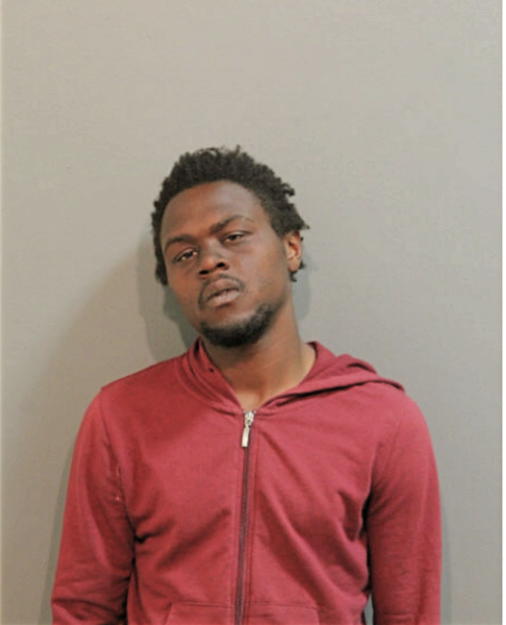 ERIC ANDERSON, Cook County, Illinois