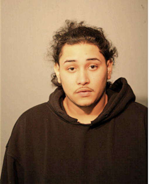 LUIS A BAUTISTA, Cook County, Illinois