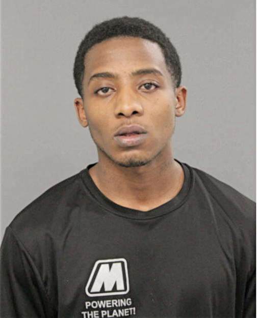 BRANDON D BROWN, Cook County, Illinois