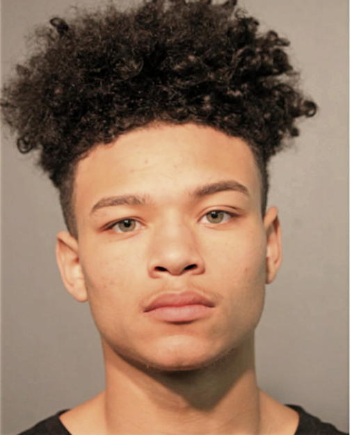 FINIS S DORSEY, Cook County, Illinois