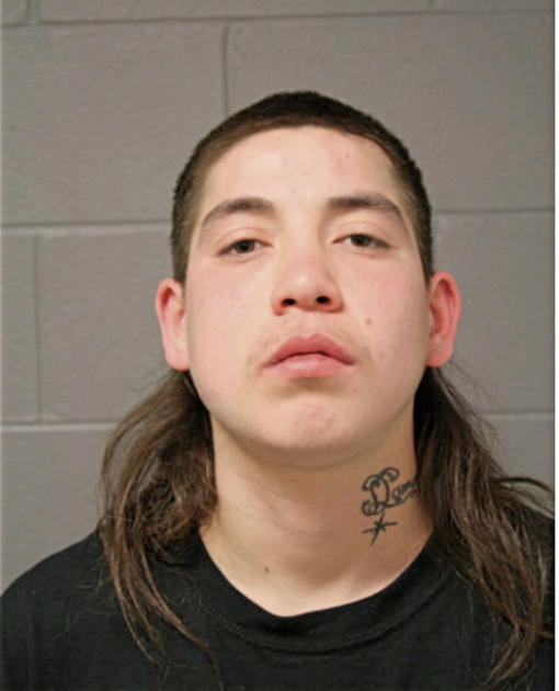 ERICK FLORES, Cook County, Illinois