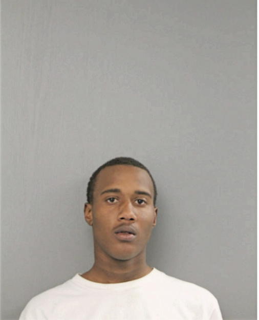 LAMONTAE J FOSTER, Cook County, Illinois