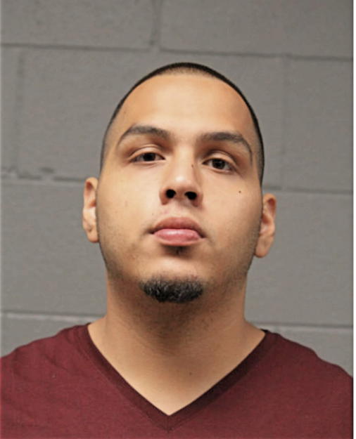 LUIS GALINDO, Cook County, Illinois