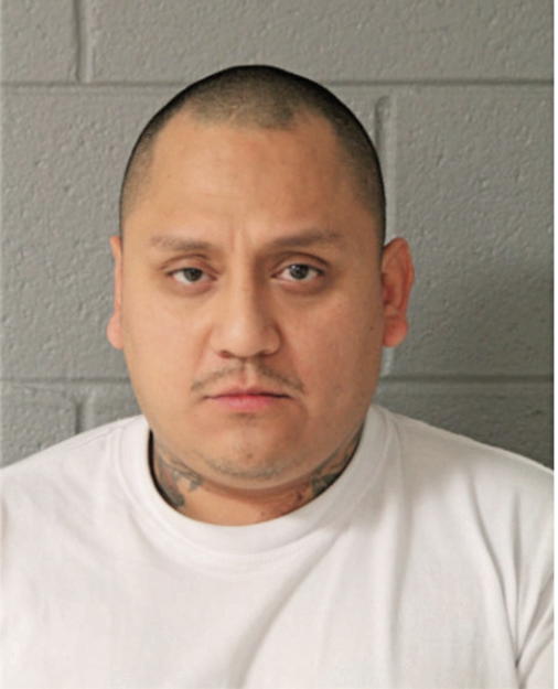 ROBERTO A GAMEZ, Cook County, Illinois