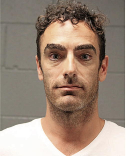 DAVID W GIAMBALVO, Cook County, Illinois