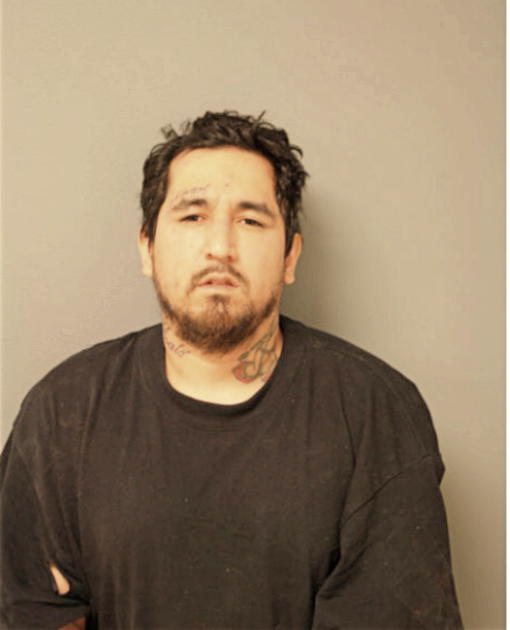 HECTOR J GONZALEZ, Cook County, Illinois