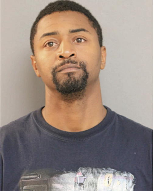 DAMIEN L HOLMAN, Cook County, Illinois