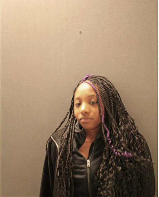 ARIEL N JOHNSON, Cook County, Illinois