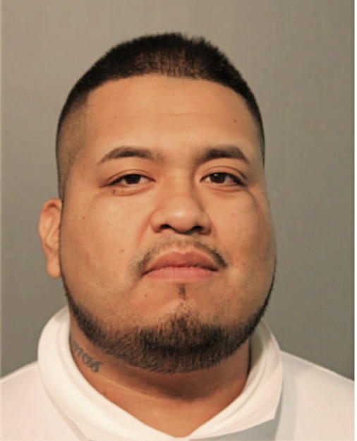 ARMANDO LAGUNAS, Cook County, Illinois