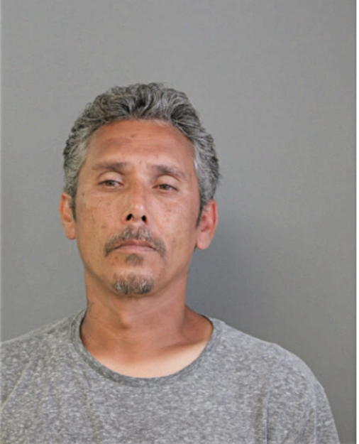 ROBERT A LENNING, Cook County, Illinois