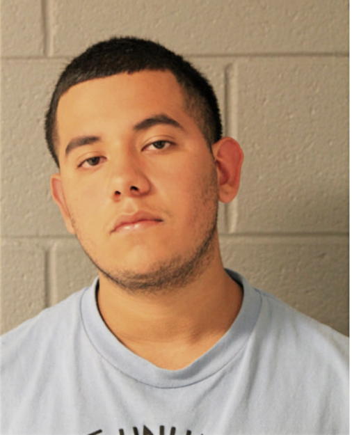 MAURICIO LEON, Cook County, Illinois