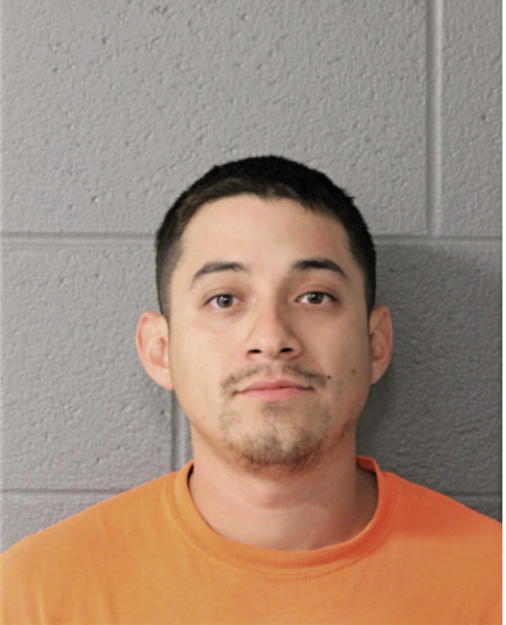 ROBERT LEON, Cook County, Illinois
