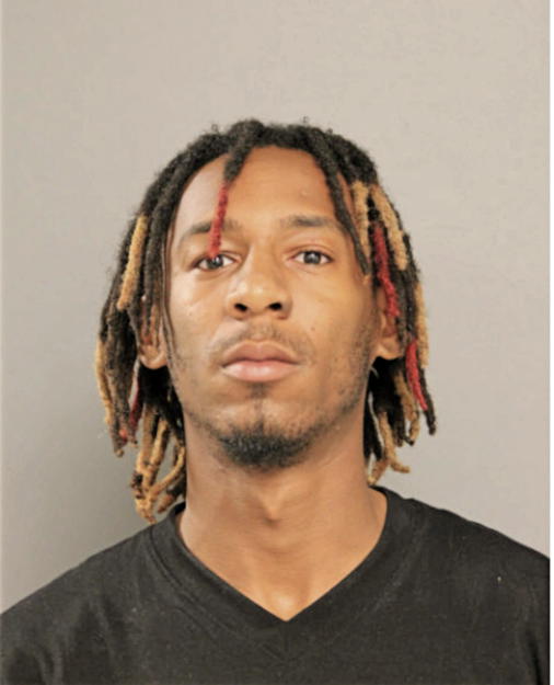 ANTHONY Q LEWIS, Cook County, Illinois