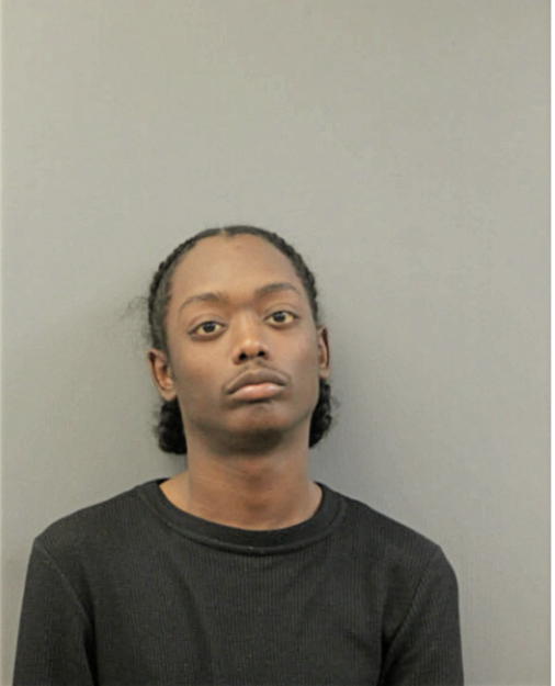 BRANDON XR LEWIS, Cook County, Illinois
