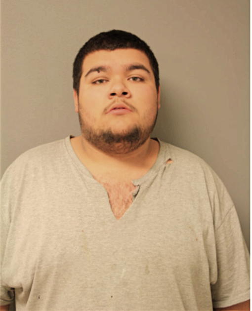 LOUIS MALDONADO, Cook County, Illinois