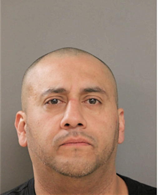 NOE MALDONADO, Cook County, Illinois