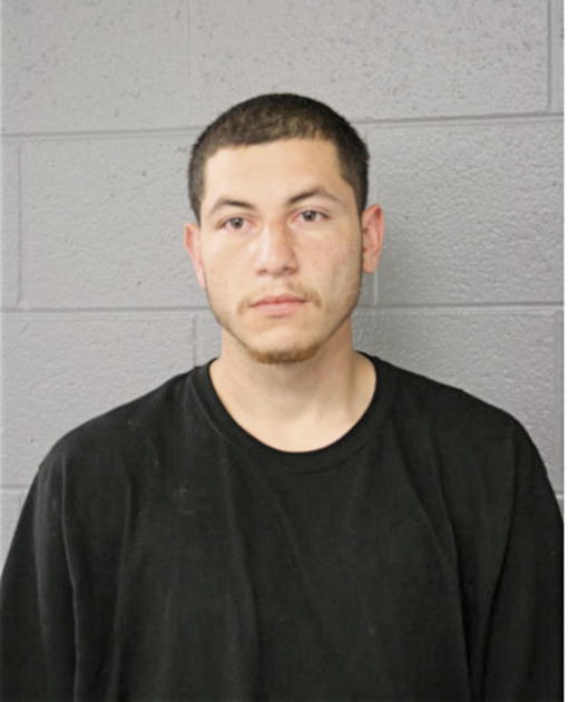 ARIEL NAVA, Cook County, Illinois