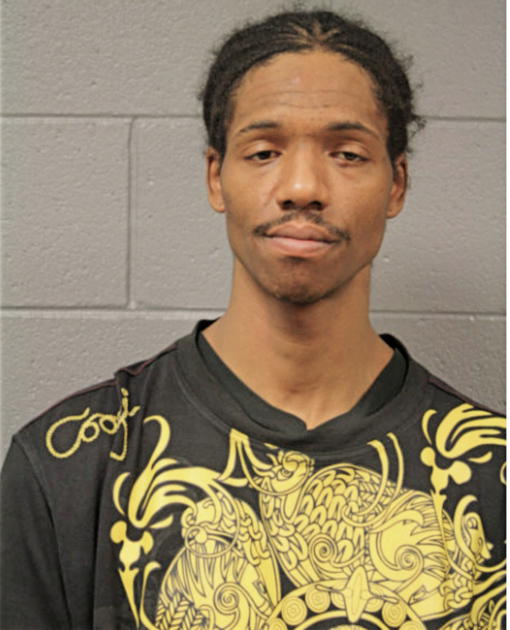 JERRY S ROBINSON, Cook County, Illinois