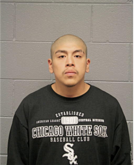 NOE ROMERO, Cook County, Illinois