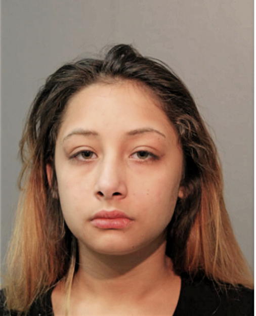 YDALIS CHRISTINE SANTIAGO, Cook County, Illinois