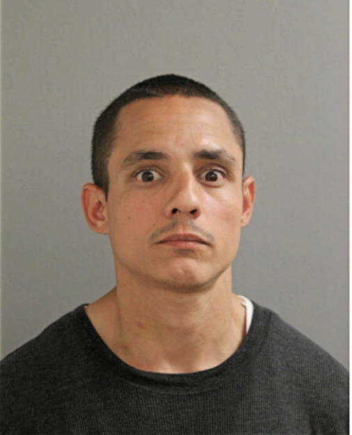 LUIS SOTO, Cook County, Illinois