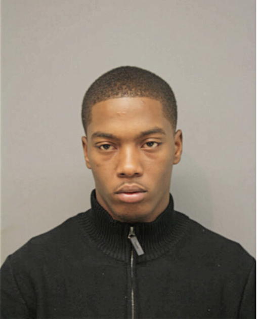 ROBERT N STAPLES, Cook County, Illinois