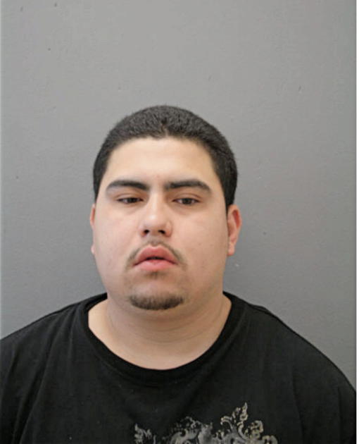 DEAN J TREVINO, Cook County, Illinois