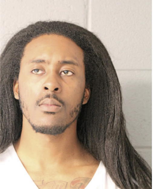 DARIAN L WATSON, Cook County, Illinois
