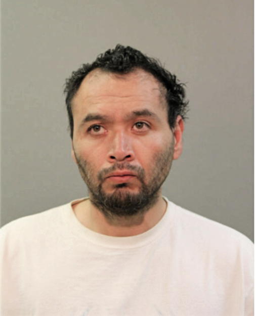 JOSE L ZAMUDIO, Cook County, Illinois