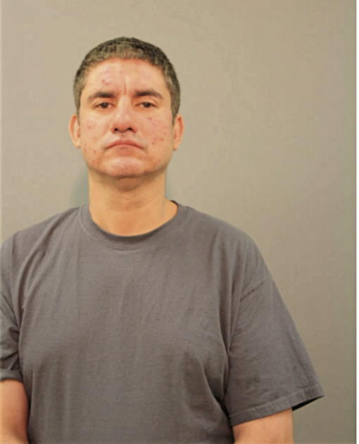 DAVID ALVARADO, Cook County, Illinois
