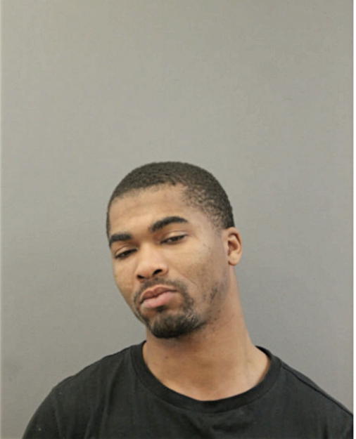 DWAYNE L ANDERSON, Cook County, Illinois