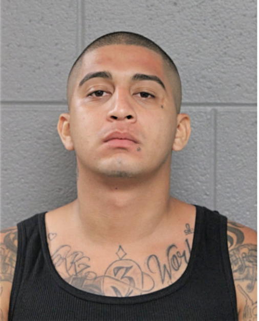 JULIO J ANGEL, Cook County, Illinois